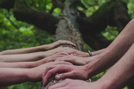 Gemeinschaftsbegleitung Gemeinschaftsbildung