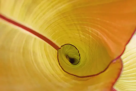 Therapeutisches Coaching